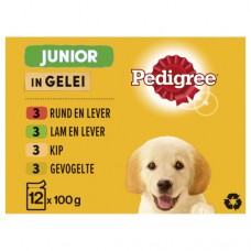 Pedigree Pouch Junior mp 12x100 vlees gevogelte